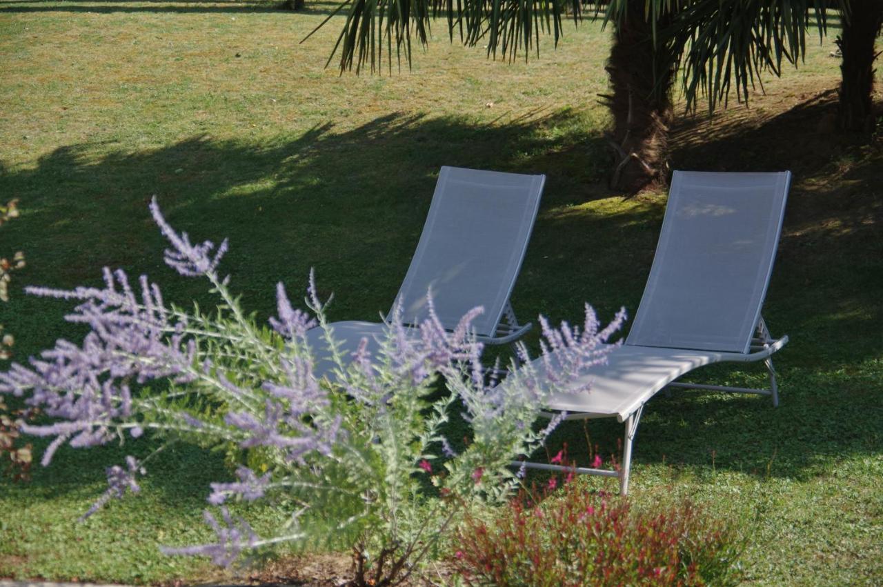La Lilas Des Fargues Maison D'Hotes Albi Dış mekan fotoğraf